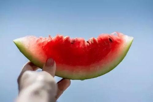 人生怎么吃瓜 第2张 人生怎么吃瓜 第2张